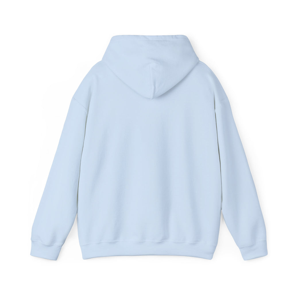 I Don't Like You Hoodie