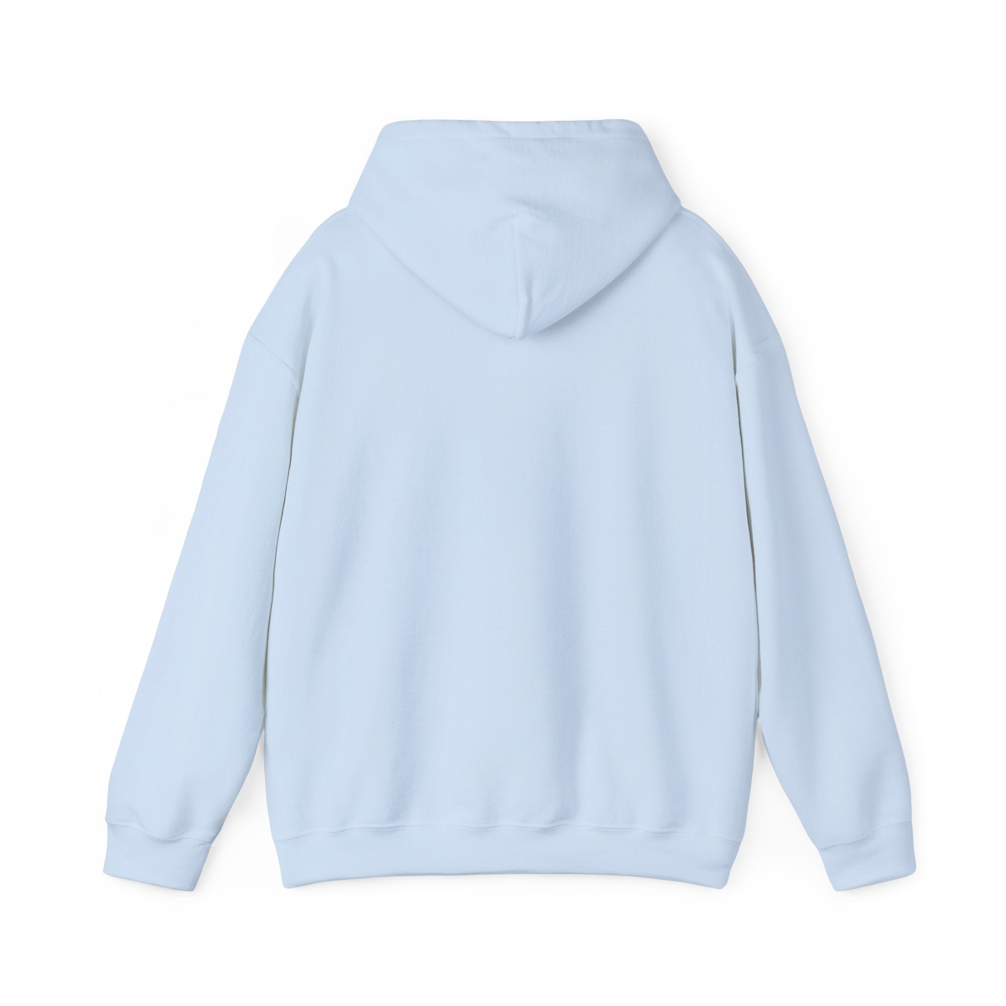 I Don't Like You Hoodie