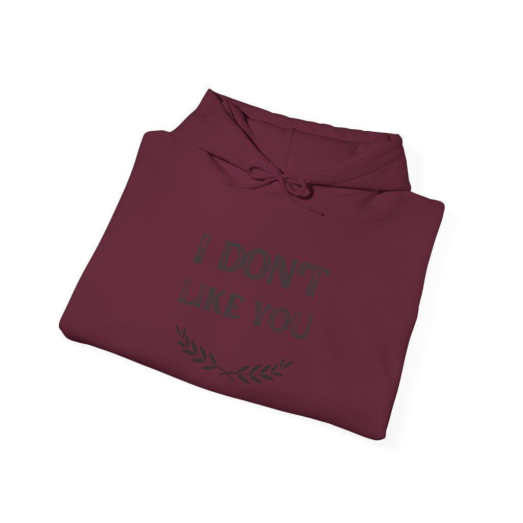 I Don't Like You Hoodie