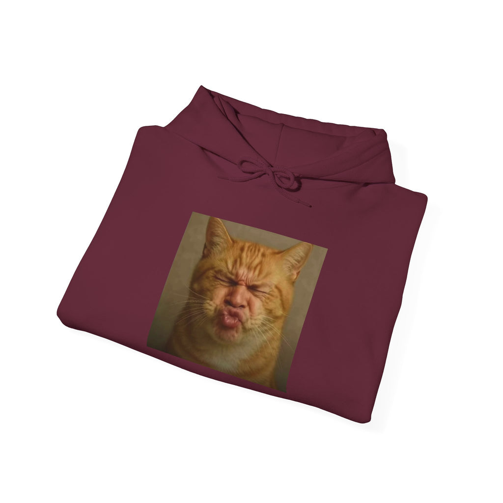 Pursed Lips Cat Hoodie – Funny Pursed Lips Cat Meme Hoodie
