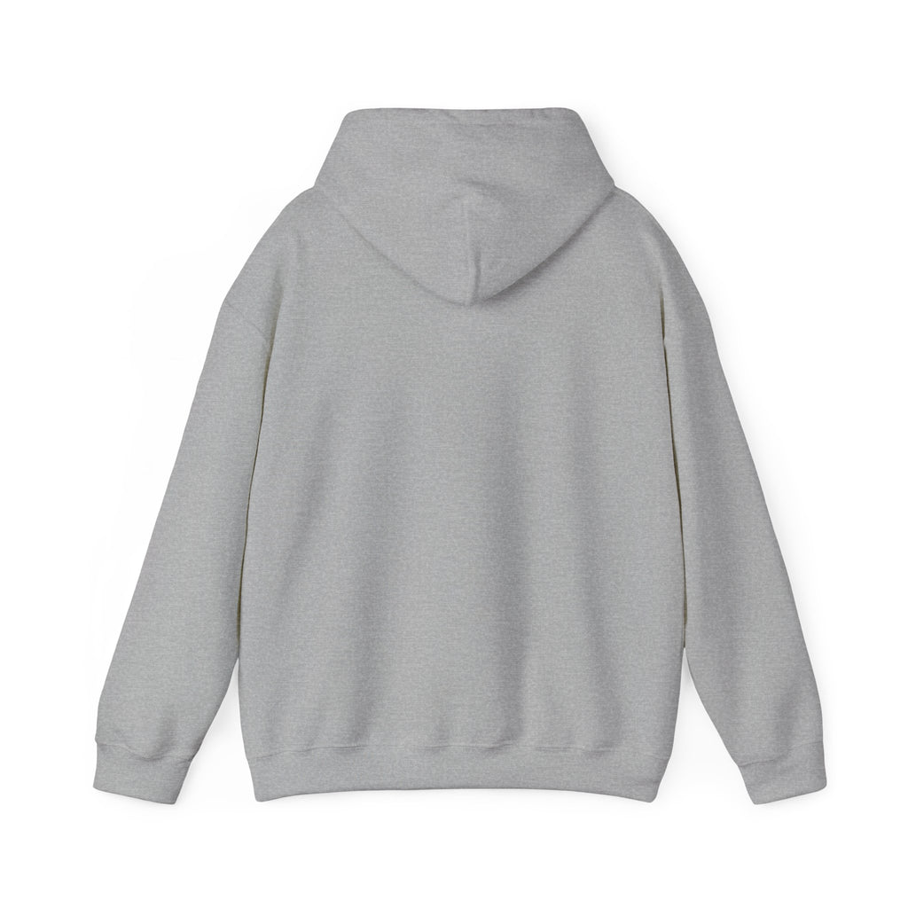 I Don't Like You Hoodie