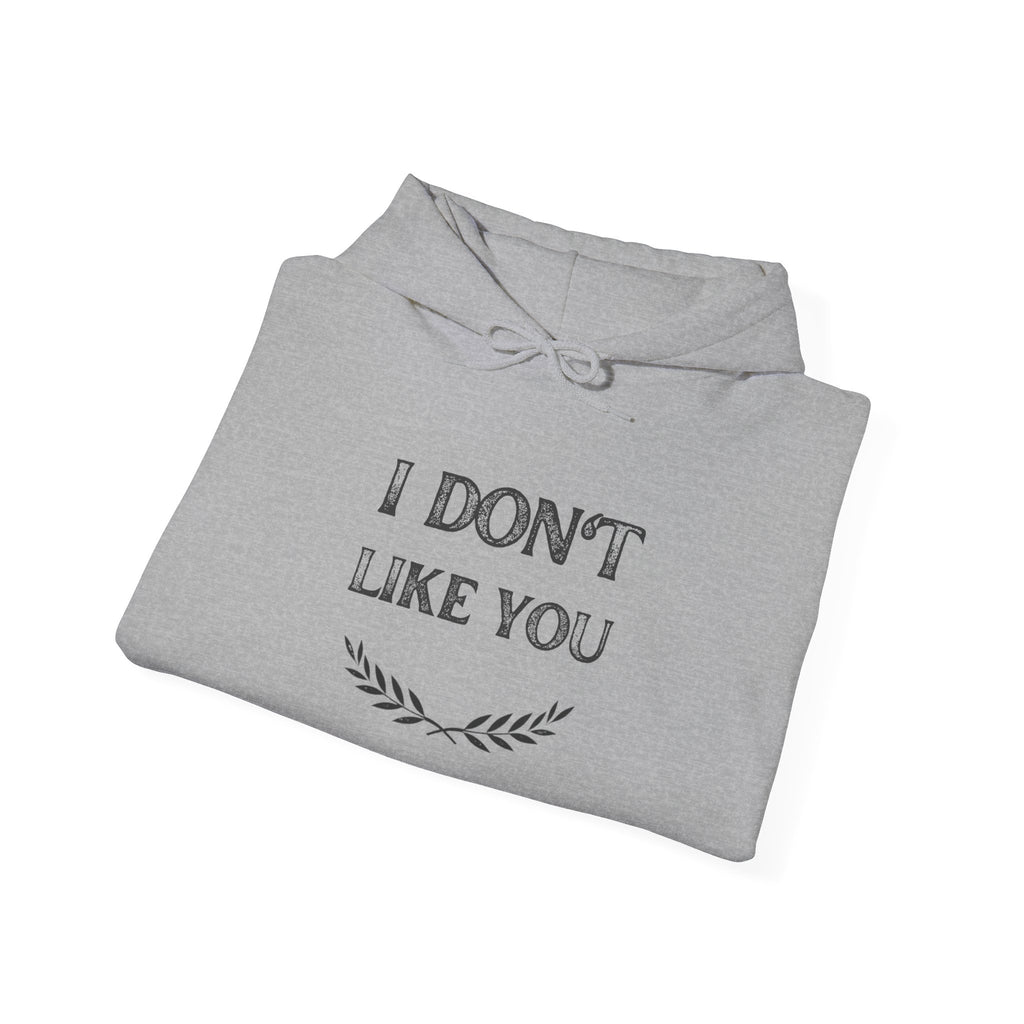 I Don't Like You Hoodie