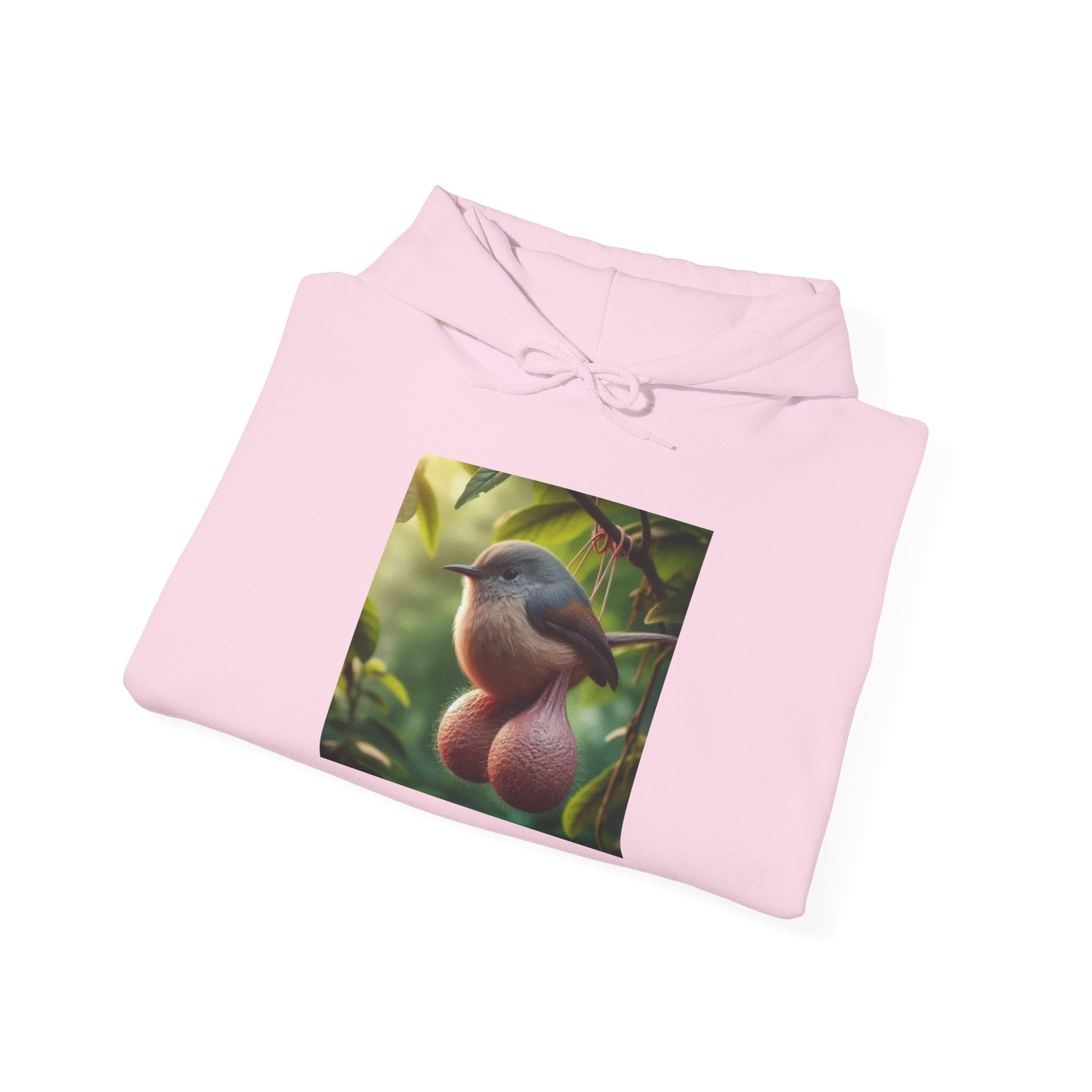 Balls Bird Hoodie – Funny Balls Bird Meme Hoodie