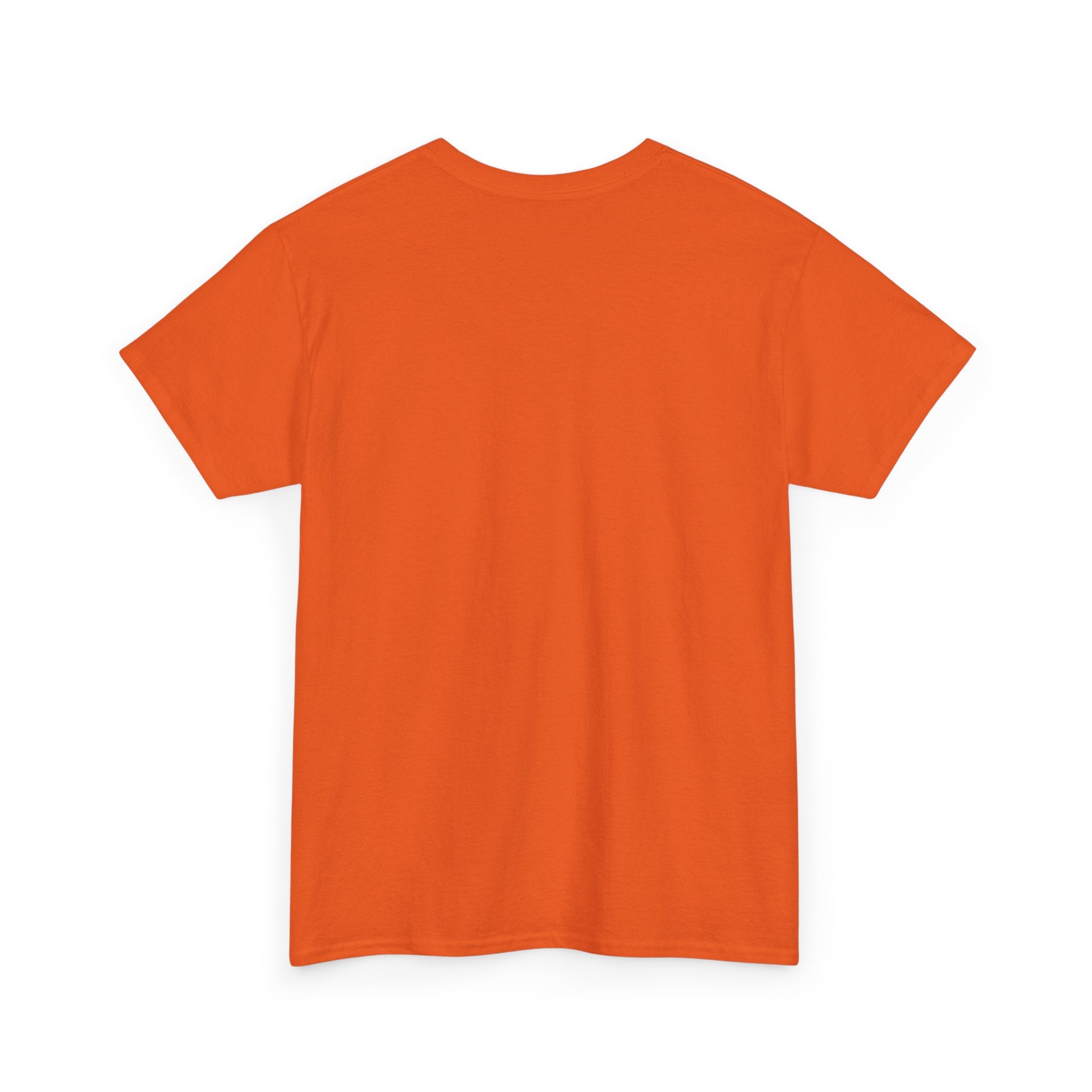 DT Cannon T-Shirt - Funny TETRIS Einstein Tee
