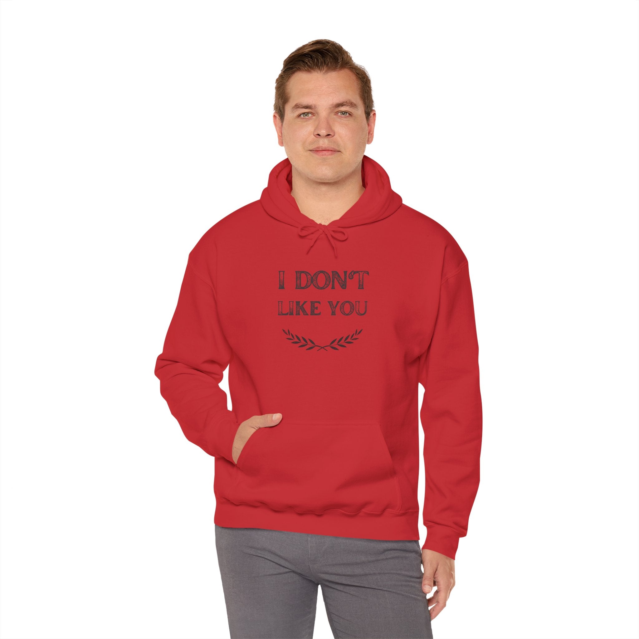 I Don't Like You Hoodie