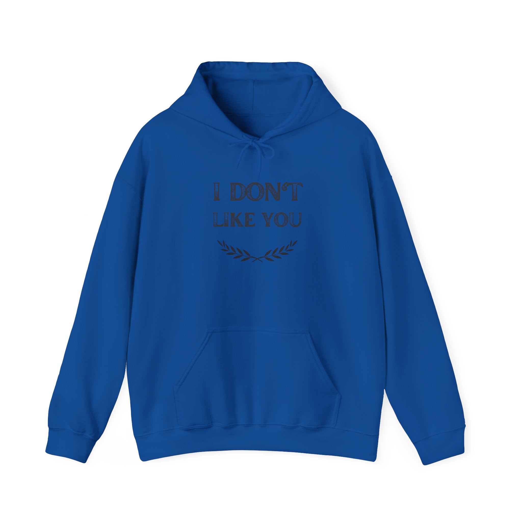 I Don't Like You Hoodie