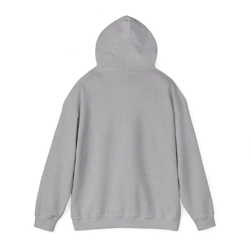 WHO TRYNA SEX MY PENIS Hoodie – White Funny Meme Statement Hoodie