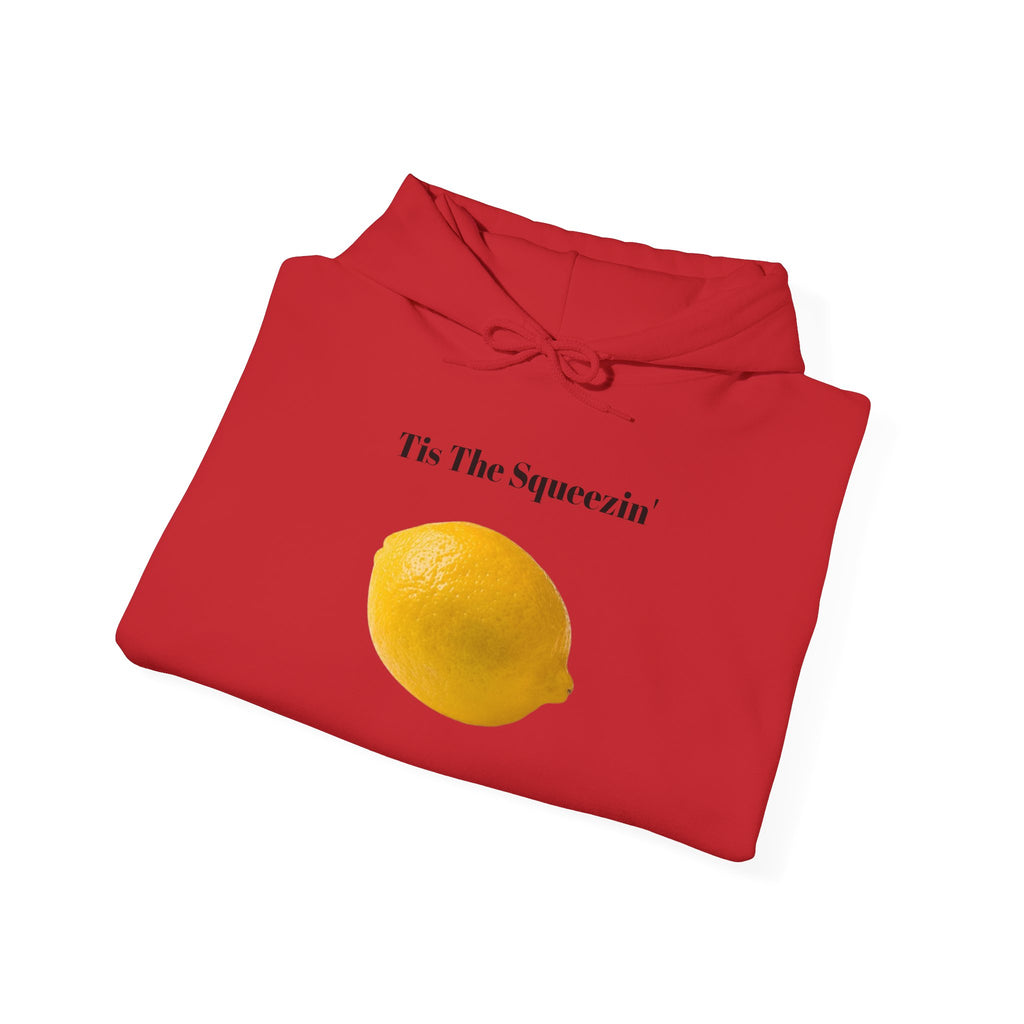 Tis The Squeezin' Hoodie – Funny Holidays Joke Hoodie