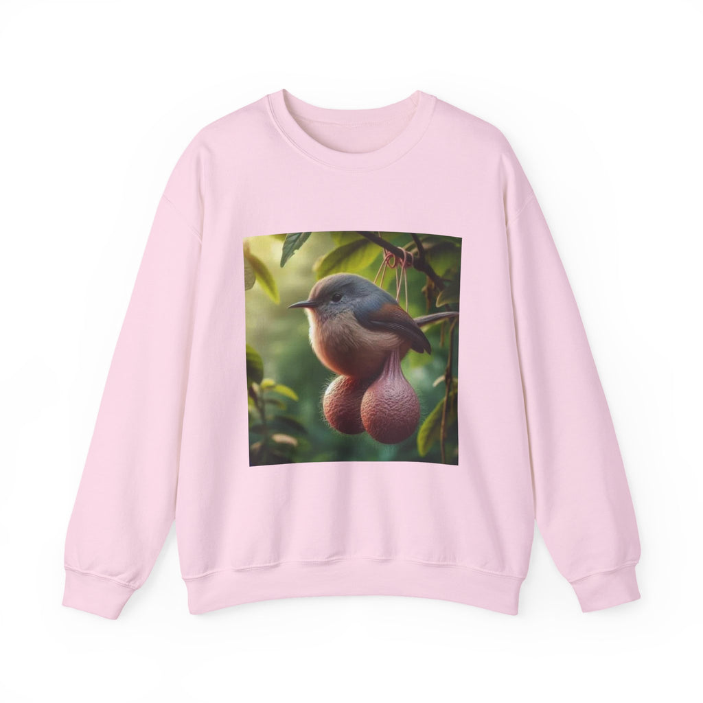 Balls Bird Sweatshirt – Funny Meme Sweatshirt
