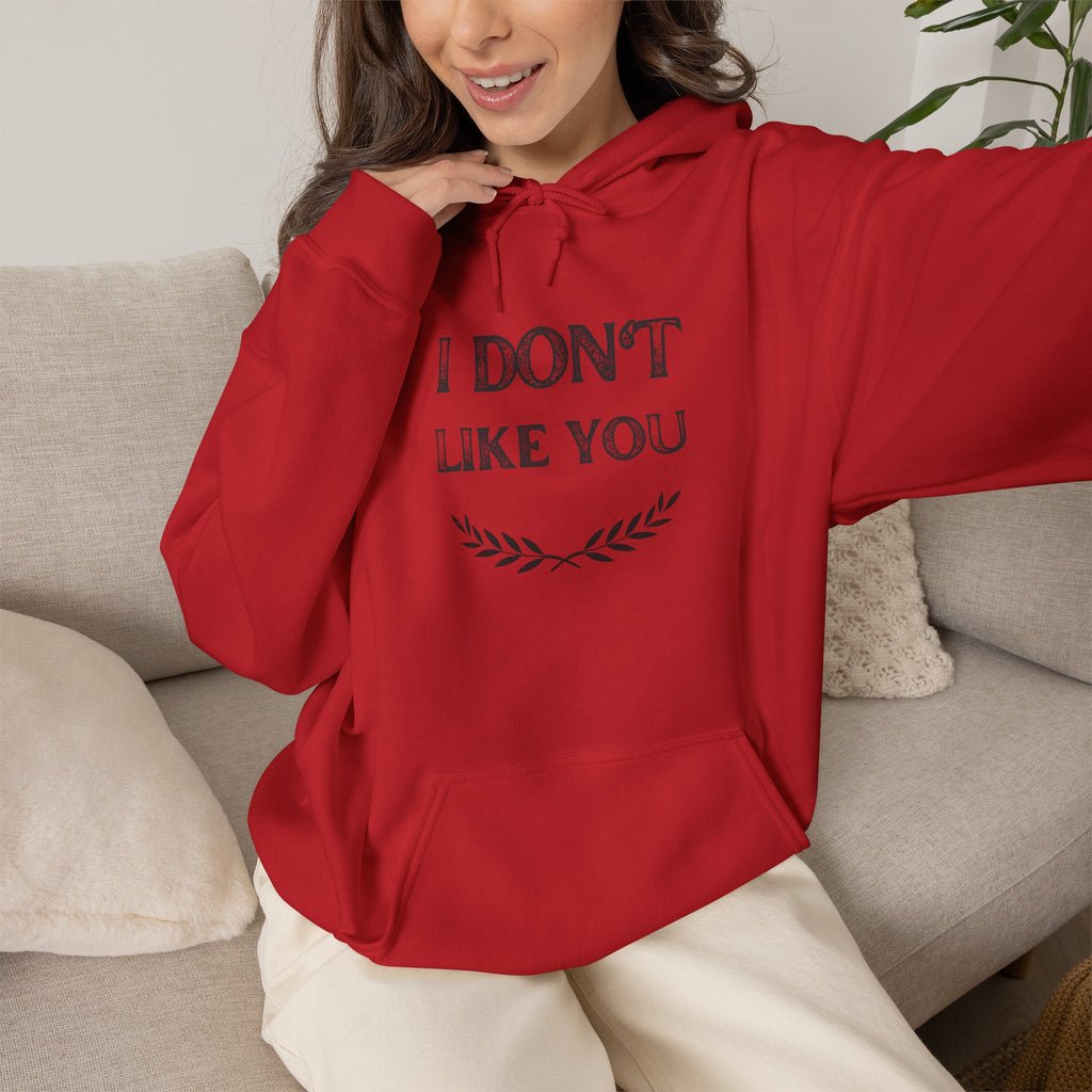 I Don't Like You Hoodie