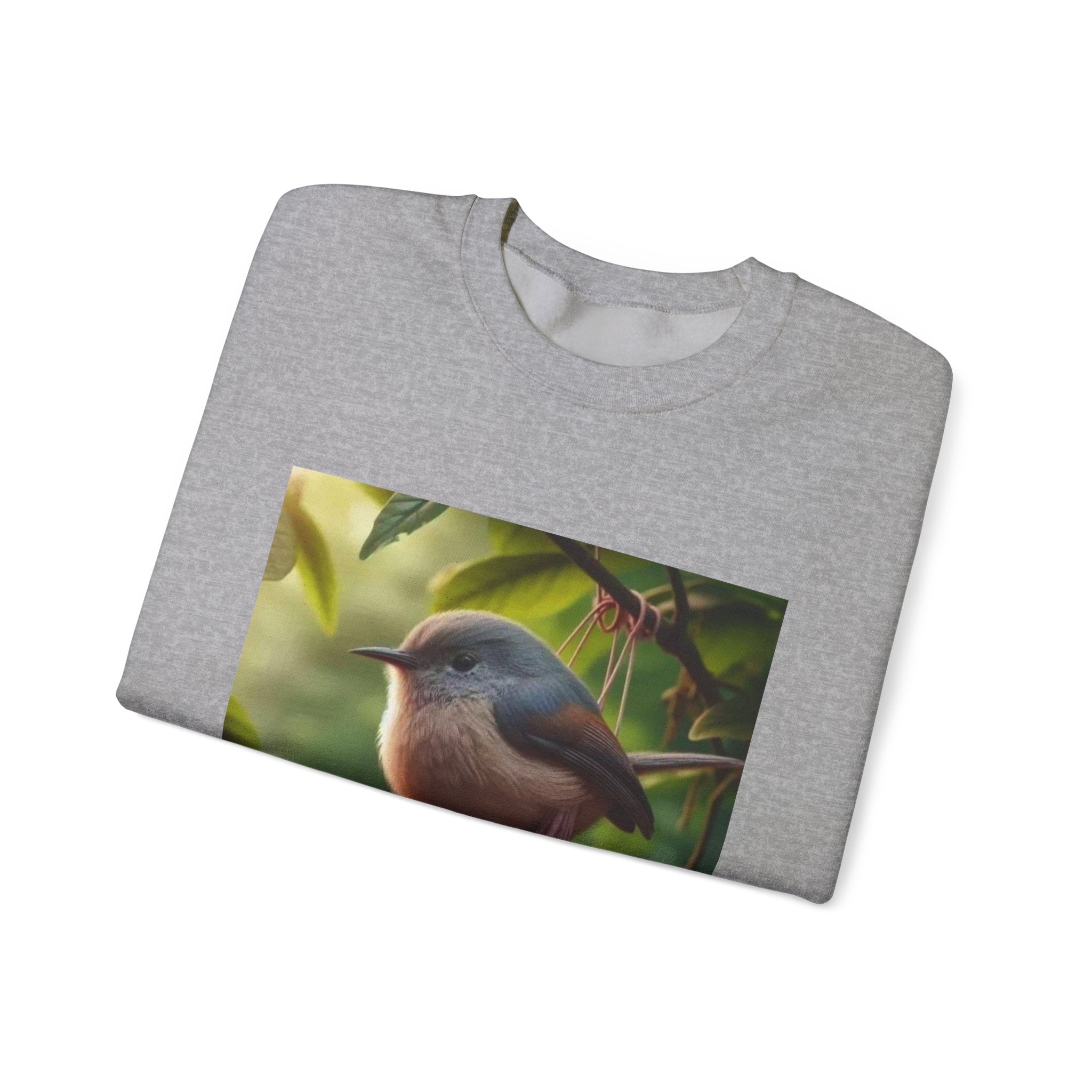 Balls Bird Sweatshirt – Funny Meme Sweatshirt