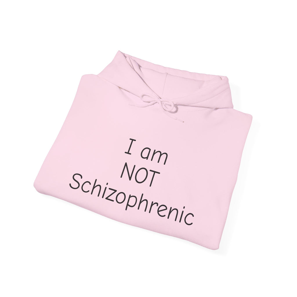 I Am NOT Schizophrenic Funny Graphic Hoodie - Unhinged Statement Hoodie