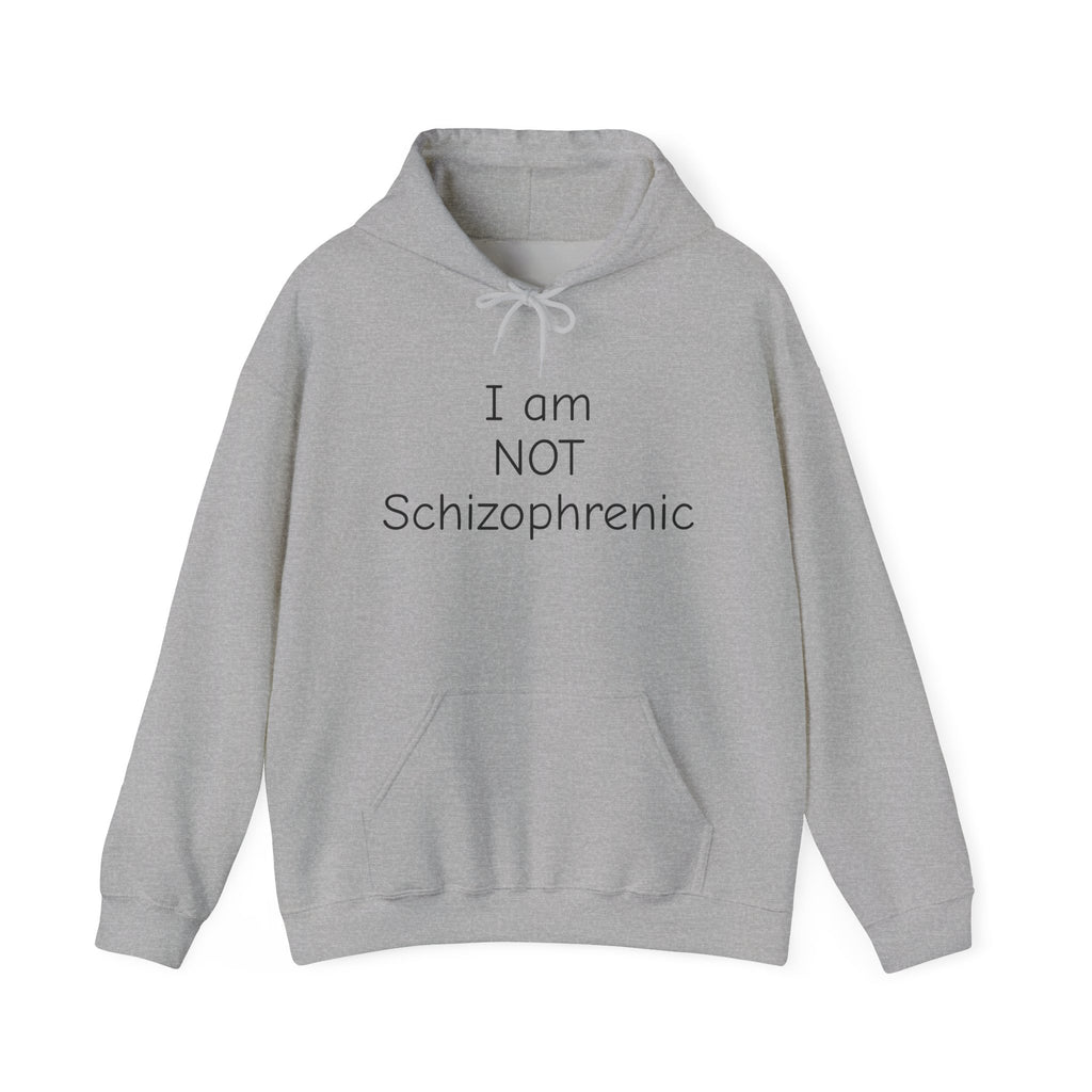 I Am NOT Schizophrenic Funny Graphic Hoodie - Unhinged Statement Hoodie