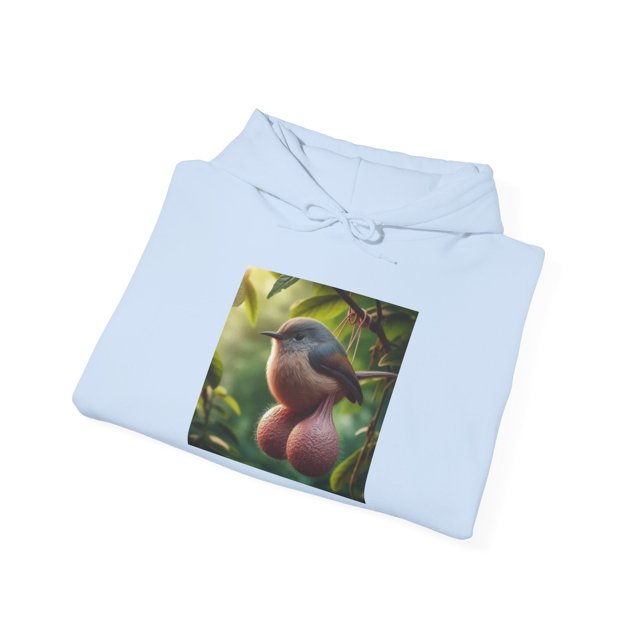 Balls Bird Hoodie – Funny Balls Bird Meme Hoodie