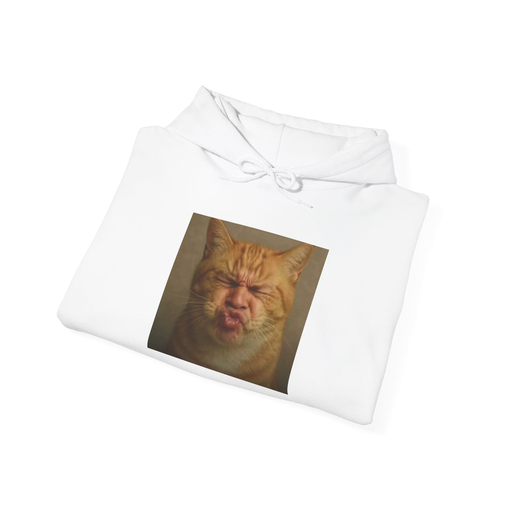 Pursed Lips Cat Hoodie – Funny Pursed Lips Cat Meme Hoodie