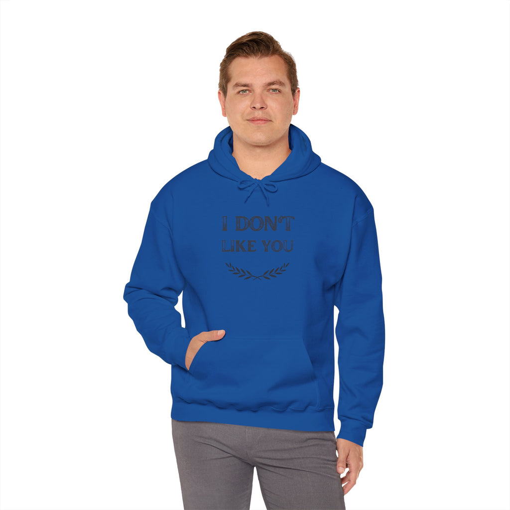 I Don't Like You Hoodie