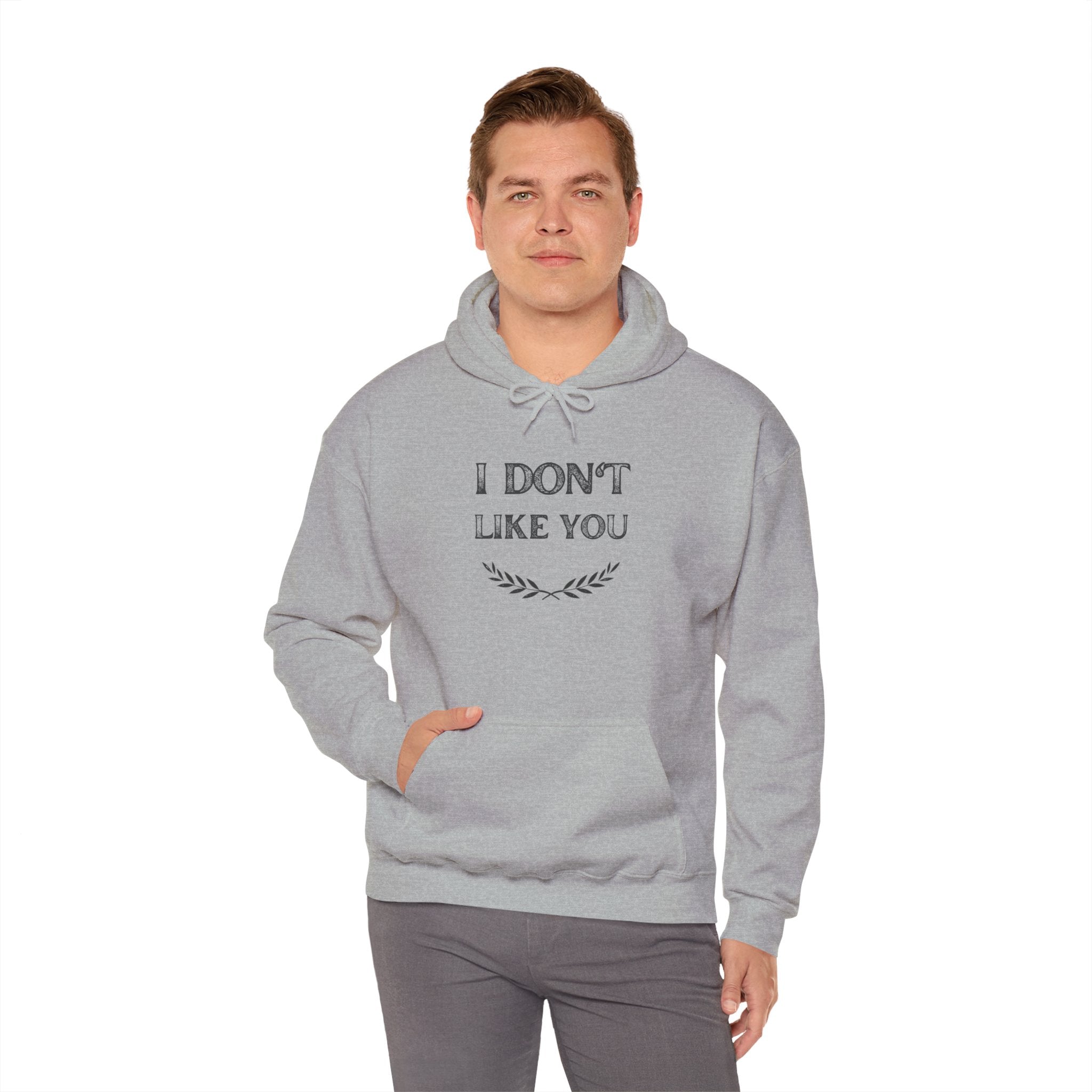 I Don't Like You Hoodie