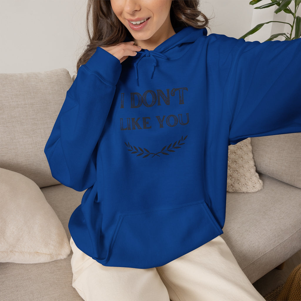 I Don't Like You Hoodie
