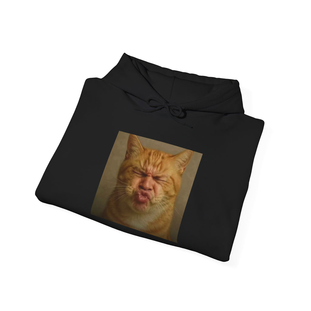Pursed Lips Cat Hoodie – Funny Pursed Lips Cat Meme Hoodie