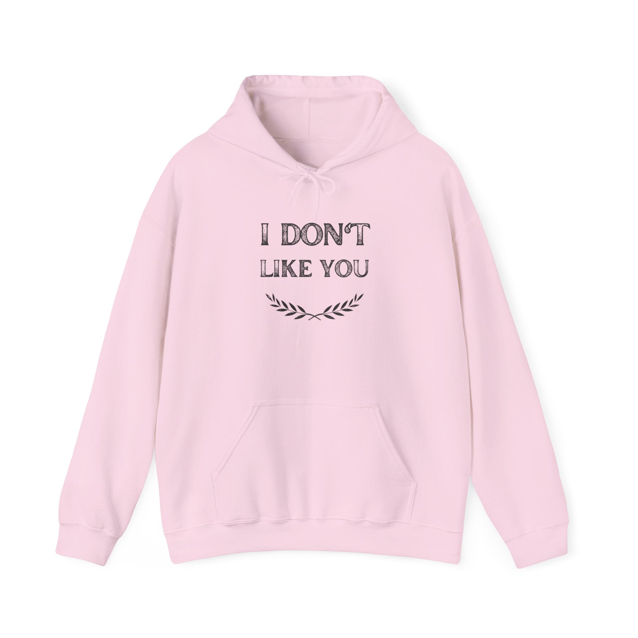 I Don't Like You Hoodie