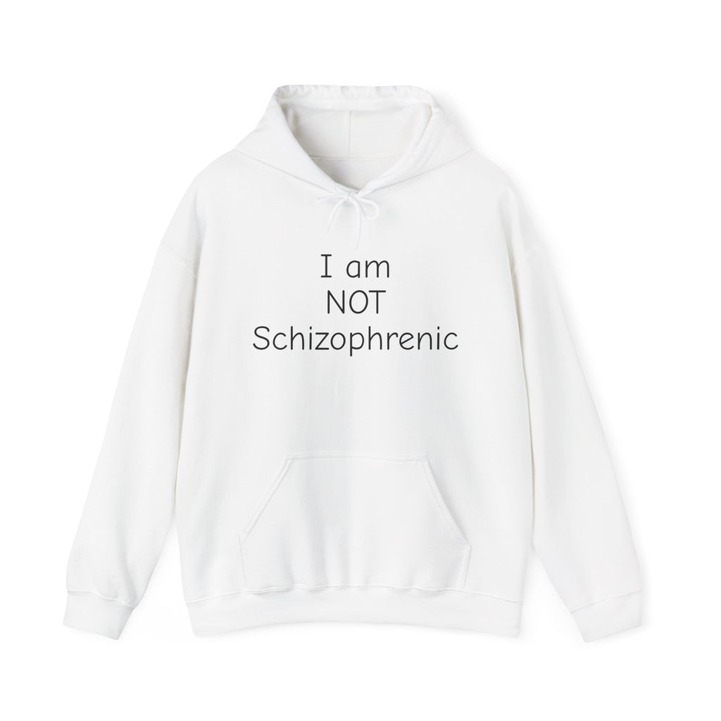 I Am NOT Schizophrenic Funny Graphic Hoodie - Unhinged Statement Hoodie