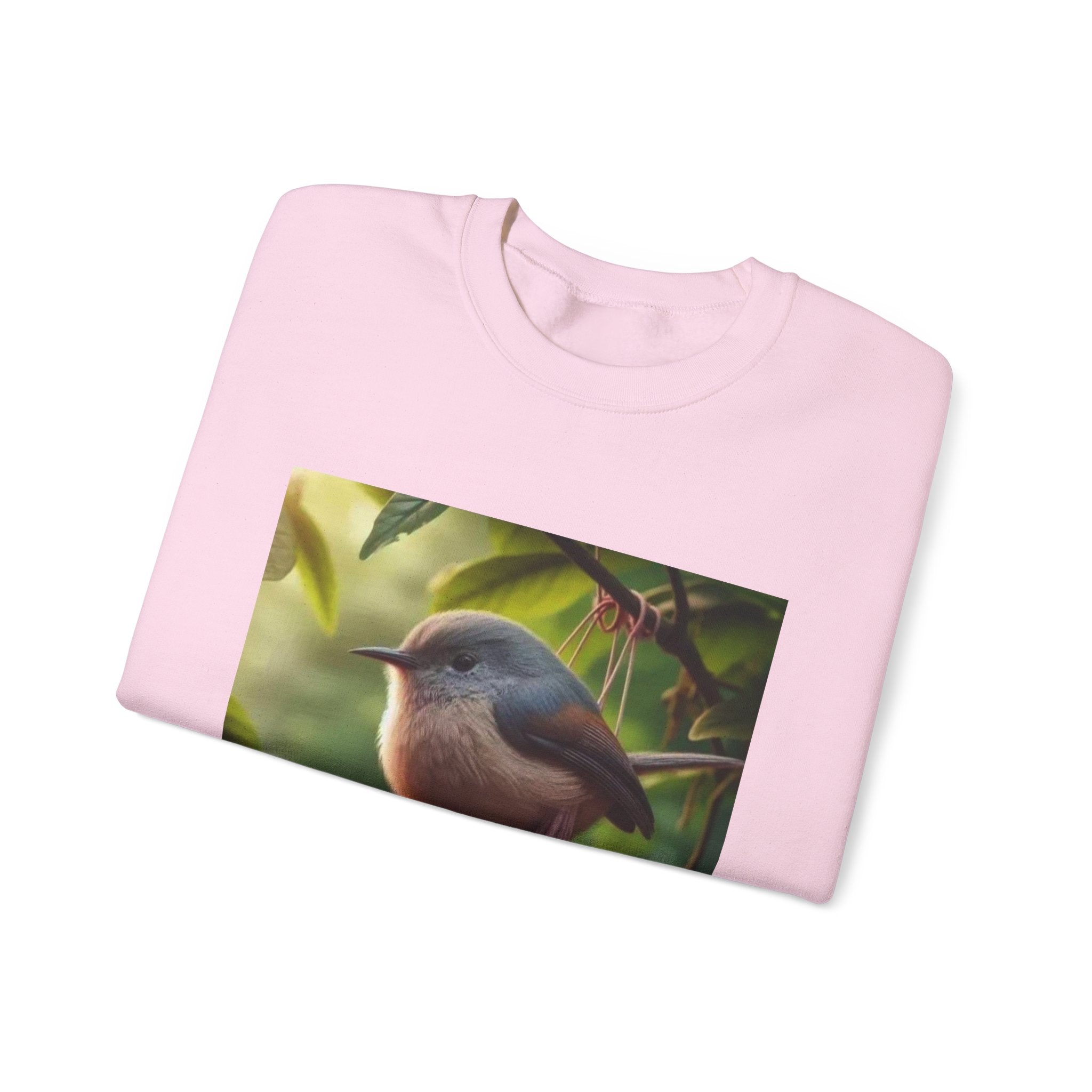 Balls Bird Sweatshirt – Funny Meme Sweatshirt