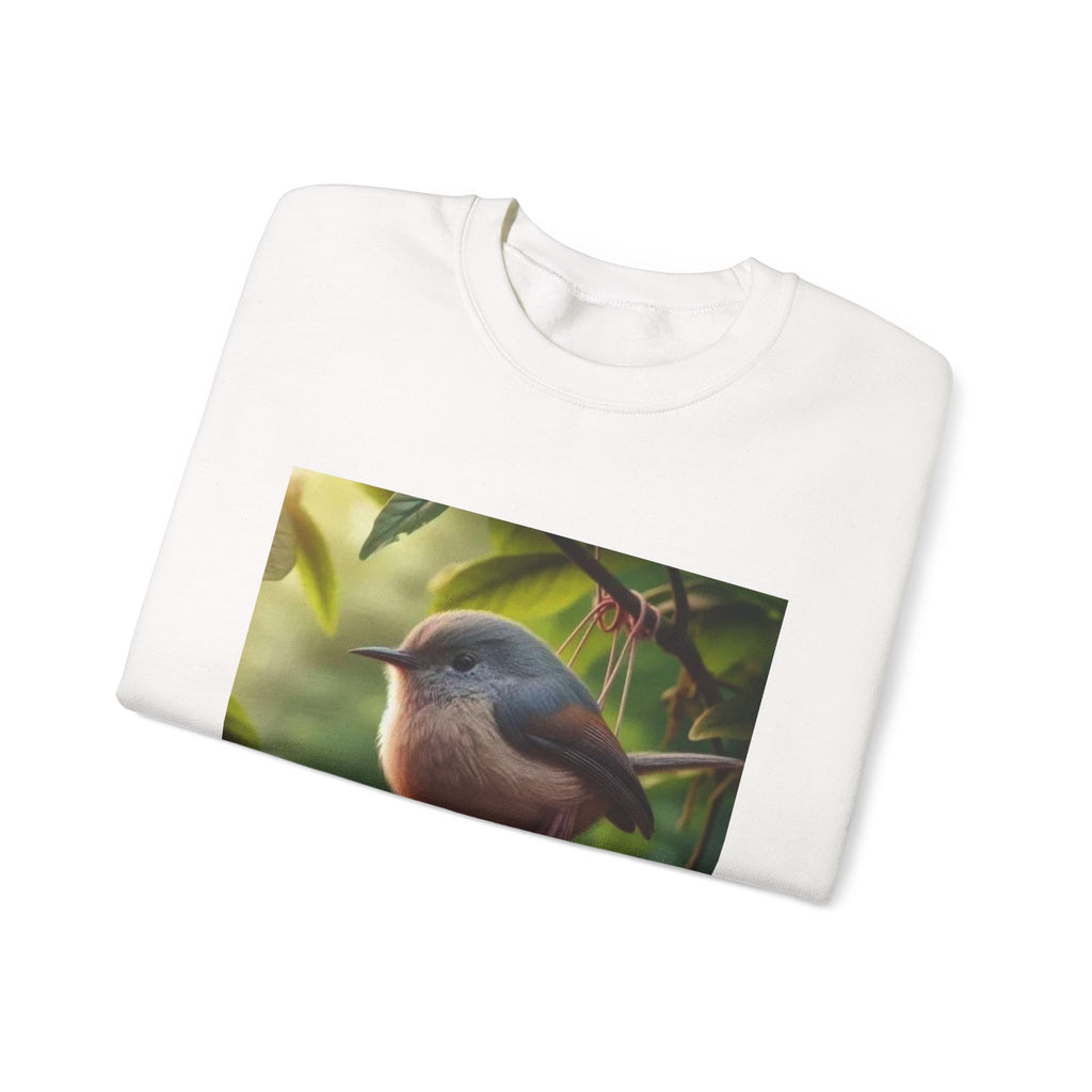 Balls Bird Sweatshirt – Funny Meme Sweatshirt