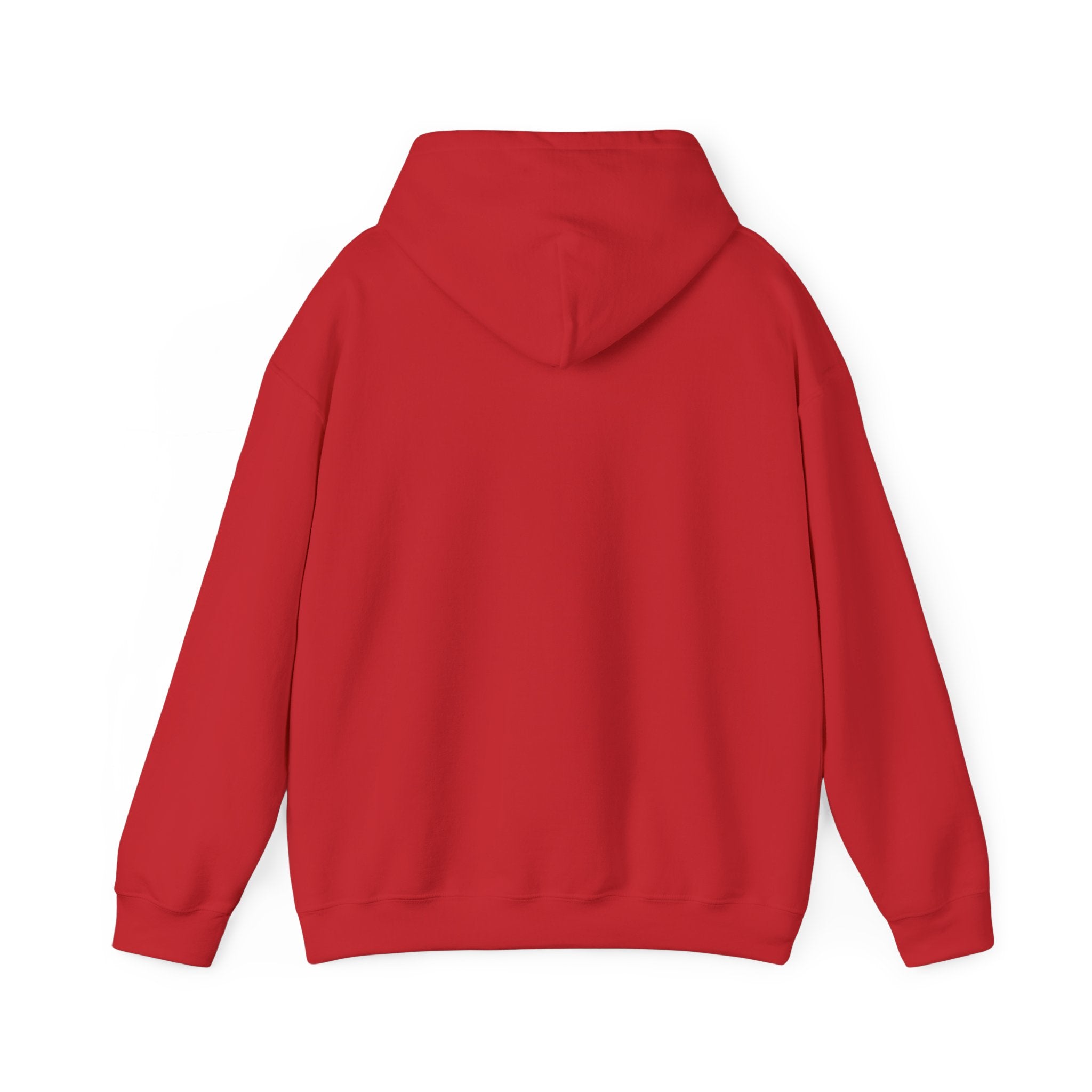 I Don't Like You Hoodie