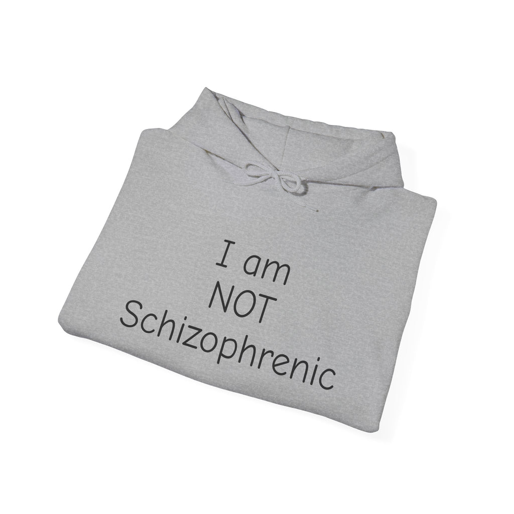 I Am NOT Schizophrenic Funny Graphic Hoodie - Unhinged Statement Hoodie