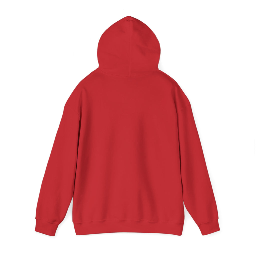WHO TRYNA SEX MY PENIS Hoodie – White Funny Meme Statement Hoodie