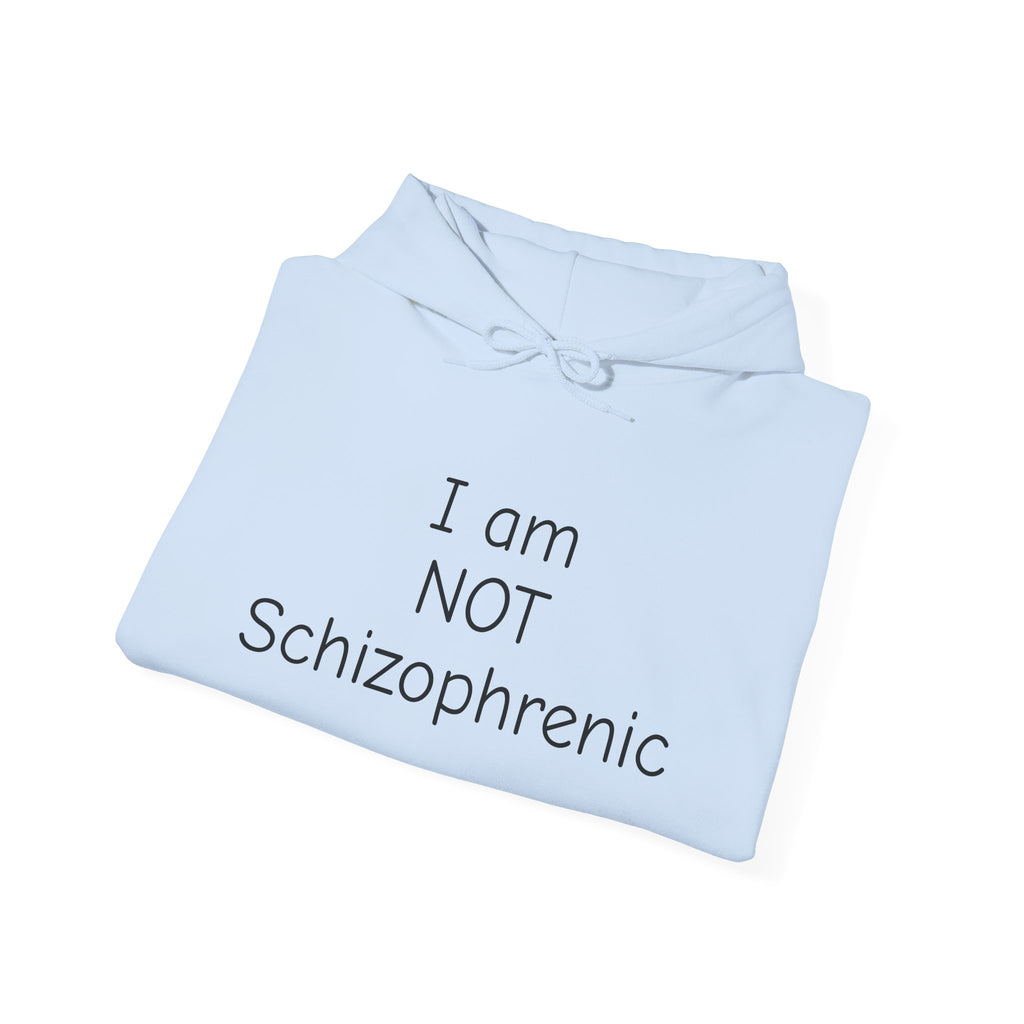 I Am NOT Schizophrenic Funny Graphic Hoodie - Unhinged Statement Hoodie