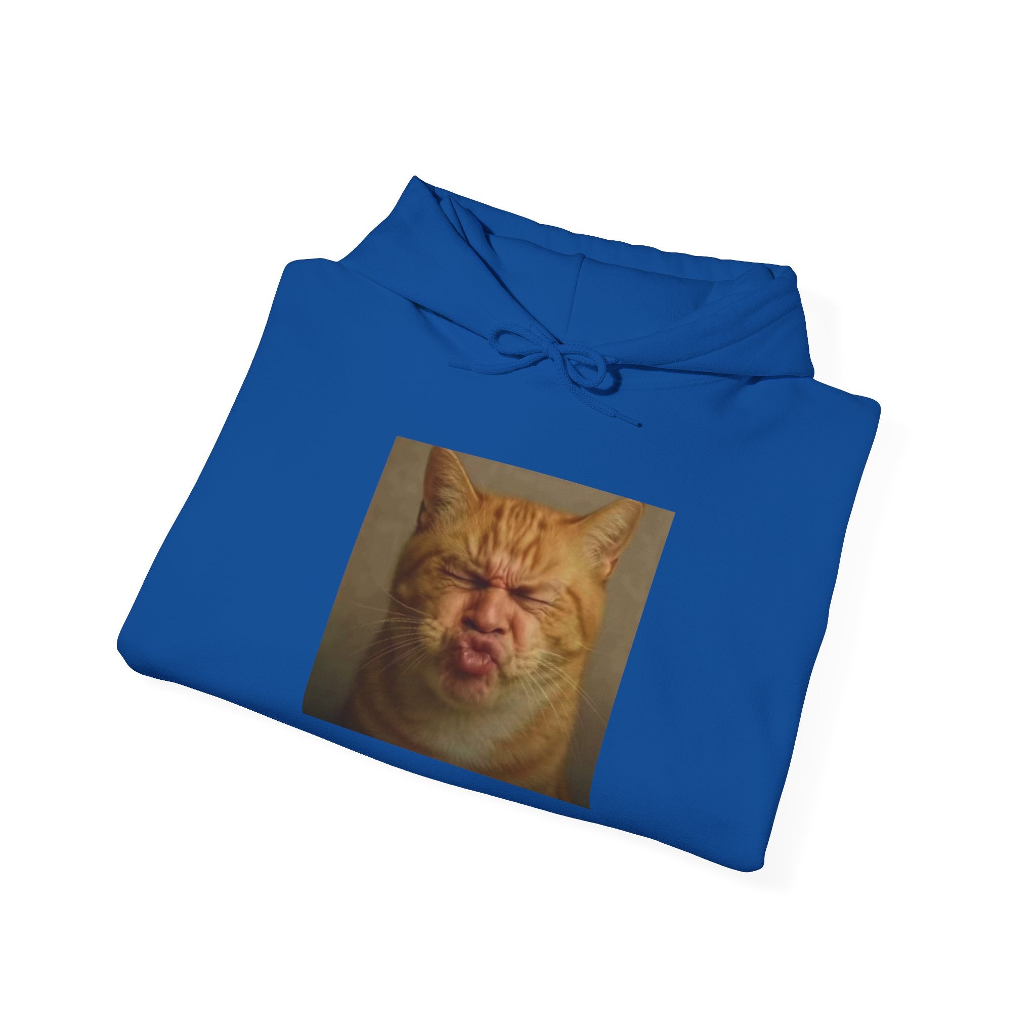 Pursed Lips Cat Hoodie – Funny Pursed Lips Cat Meme Hoodie