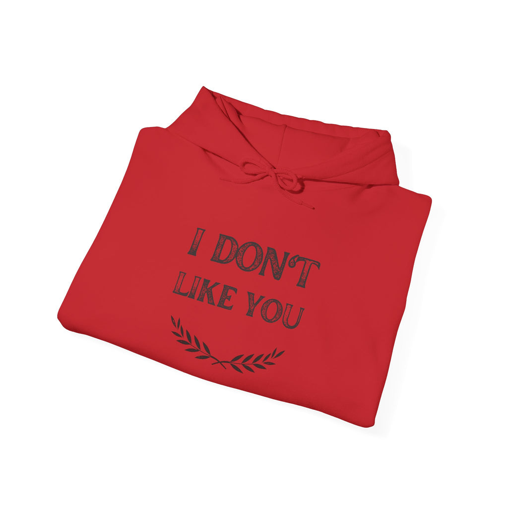I Don't Like You Hoodie