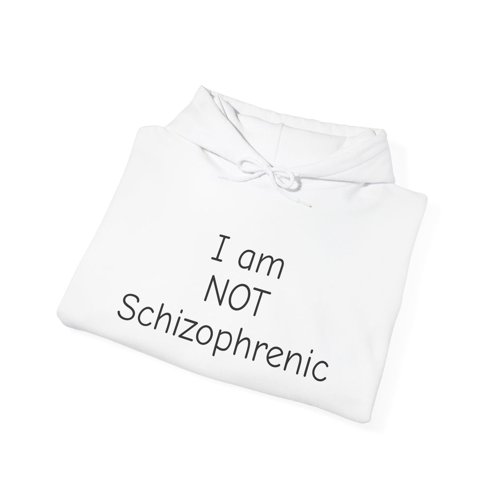 I Am NOT Schizophrenic Funny Graphic Hoodie - Unhinged Statement Hoodie