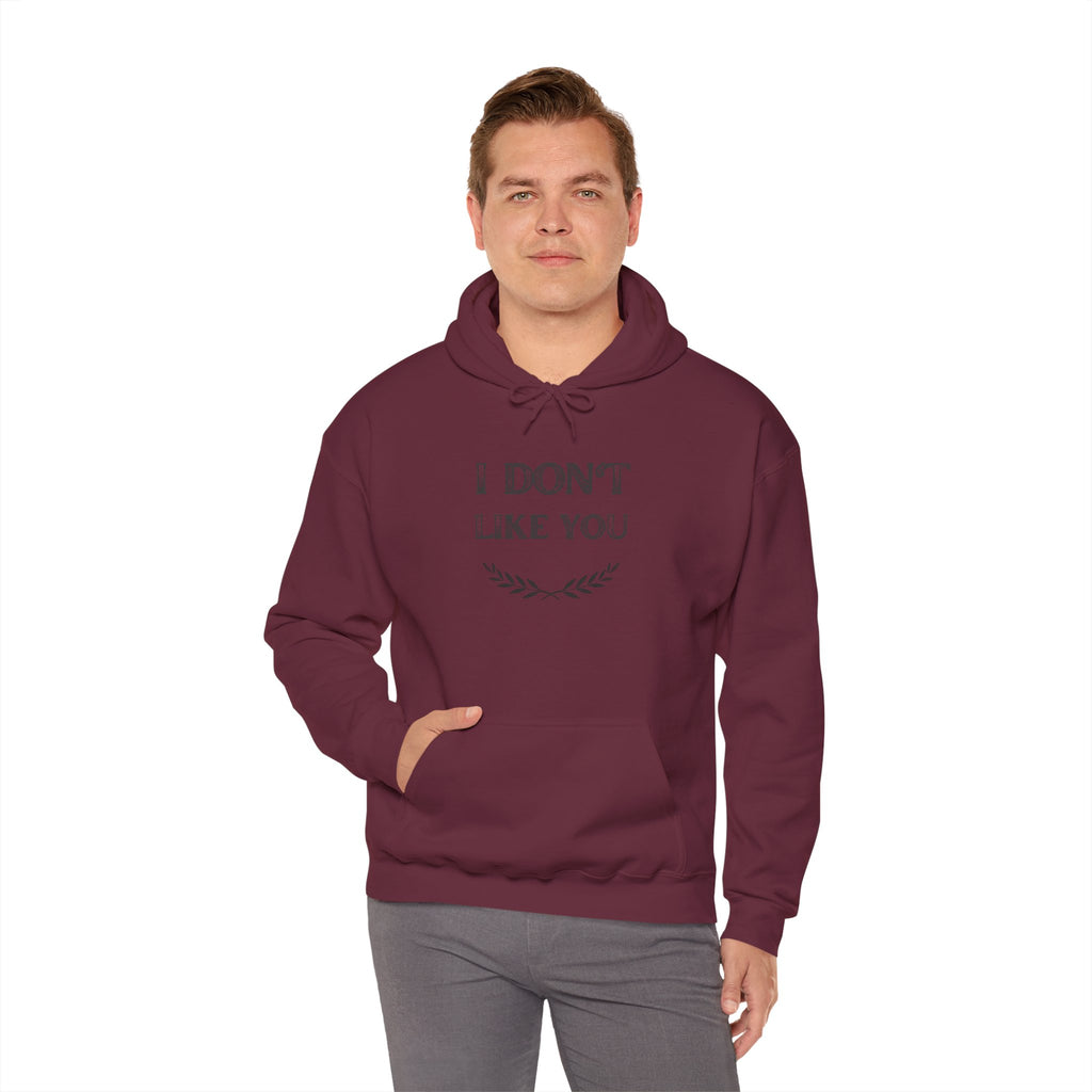 I Don't Like You Hoodie