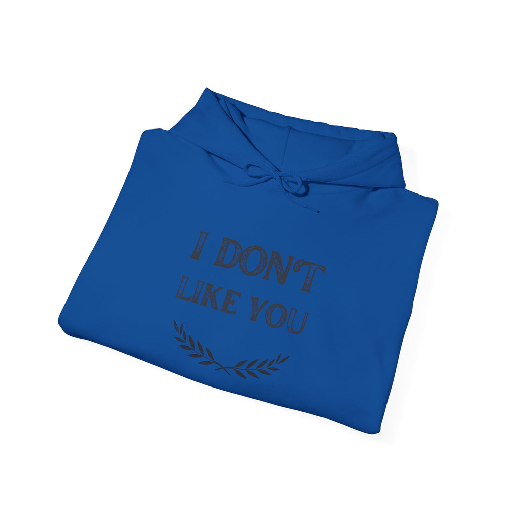 I Don't Like You Hoodie