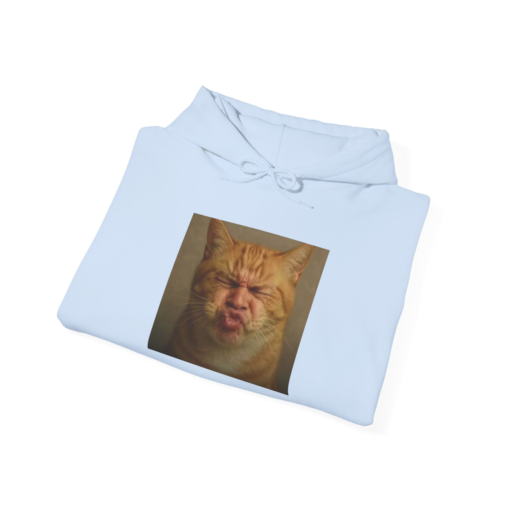 Pursed Lips Cat Hoodie – Funny Pursed Lips Cat Meme Hoodie