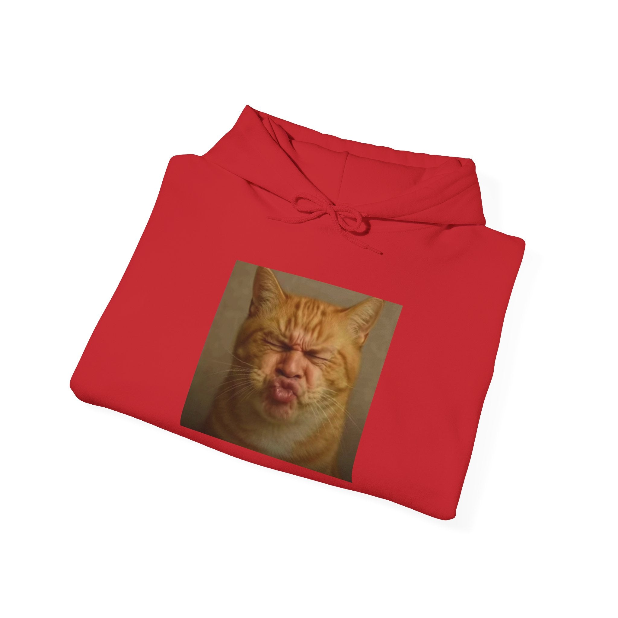 Pursed Lips Cat Hoodie – Funny Pursed Lips Cat Meme Hoodie