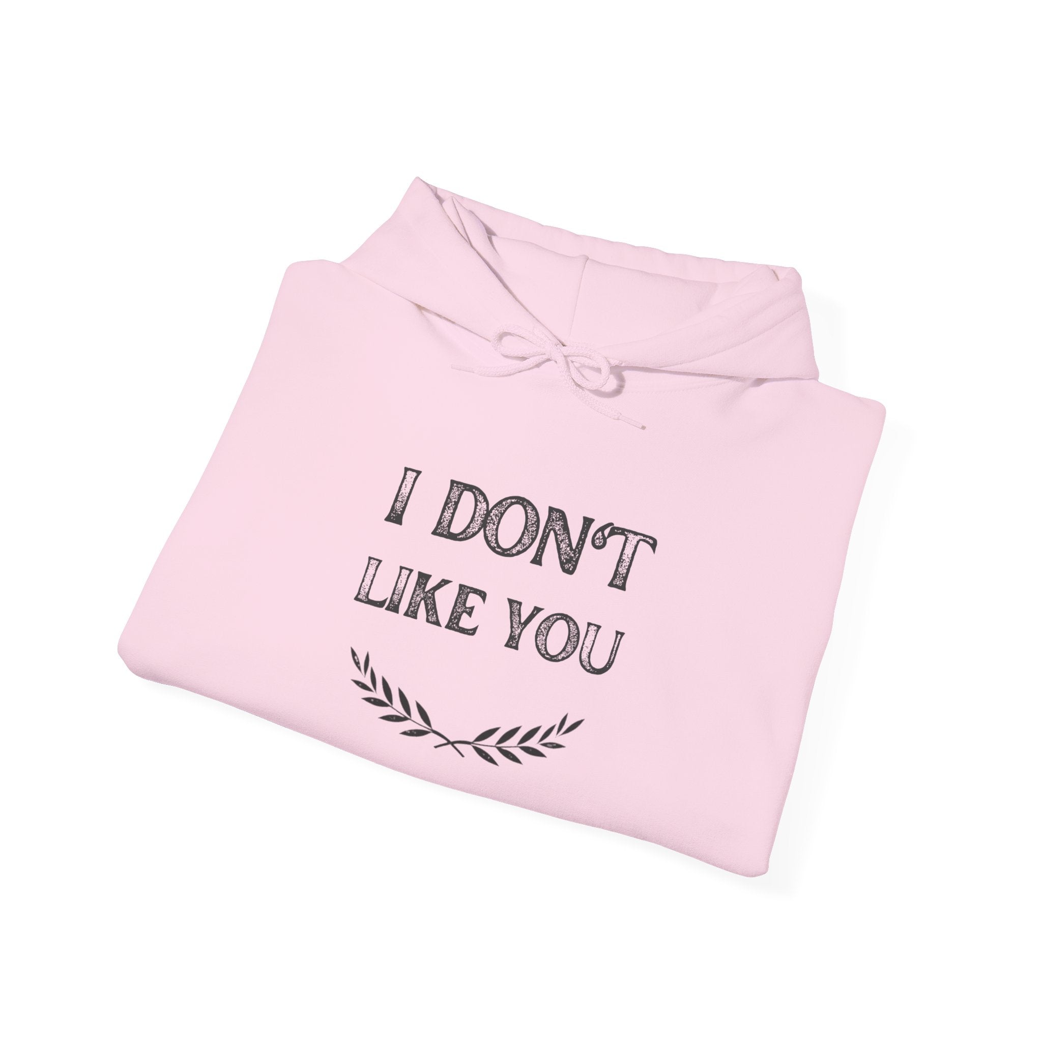 I Don't Like You Hoodie