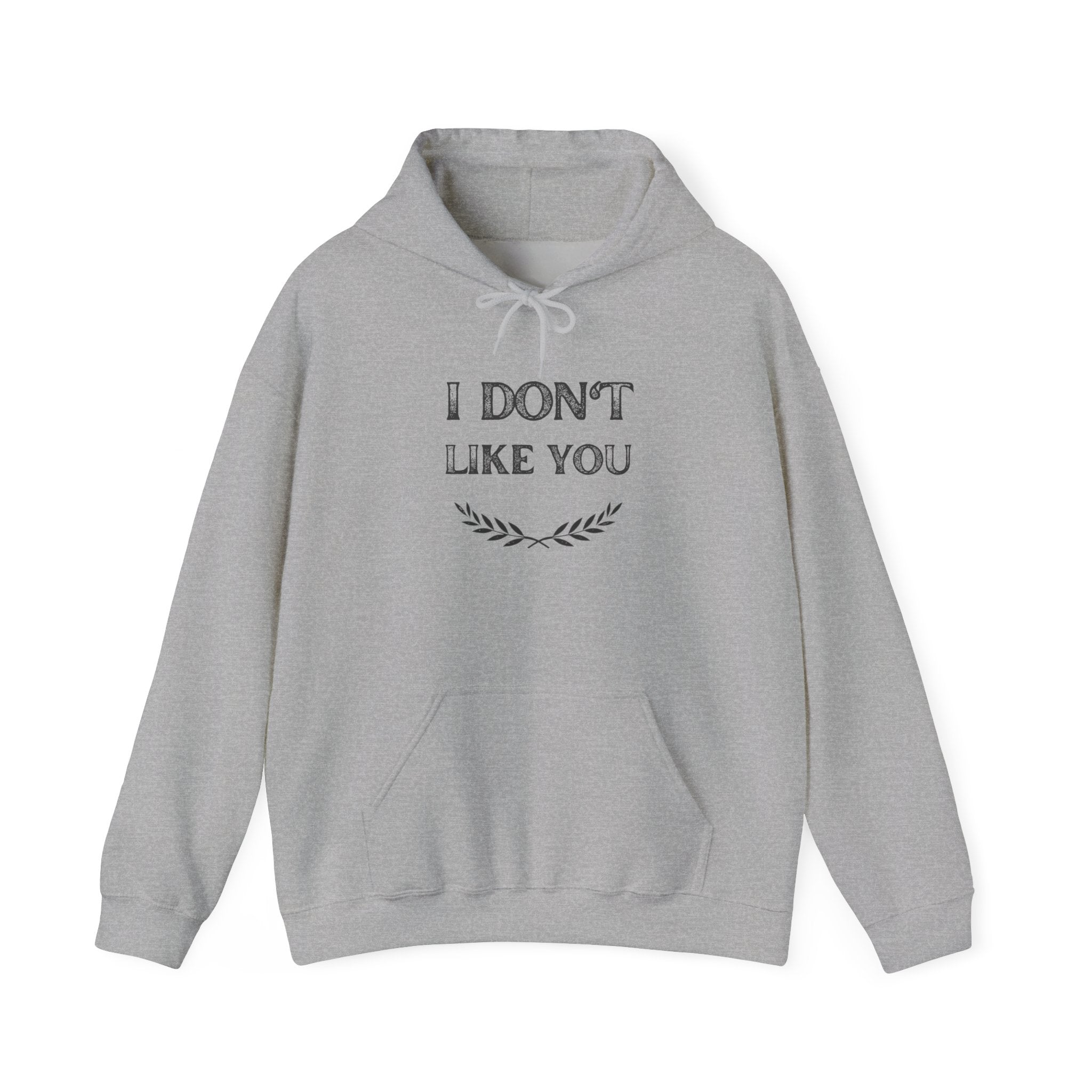 I Don't Like You Hoodie