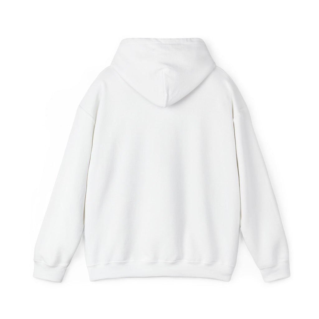 I Don't Like You Hoodie