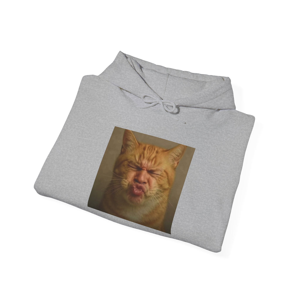 Pursed Lips Cat Hoodie – Funny Pursed Lips Cat Meme Hoodie
