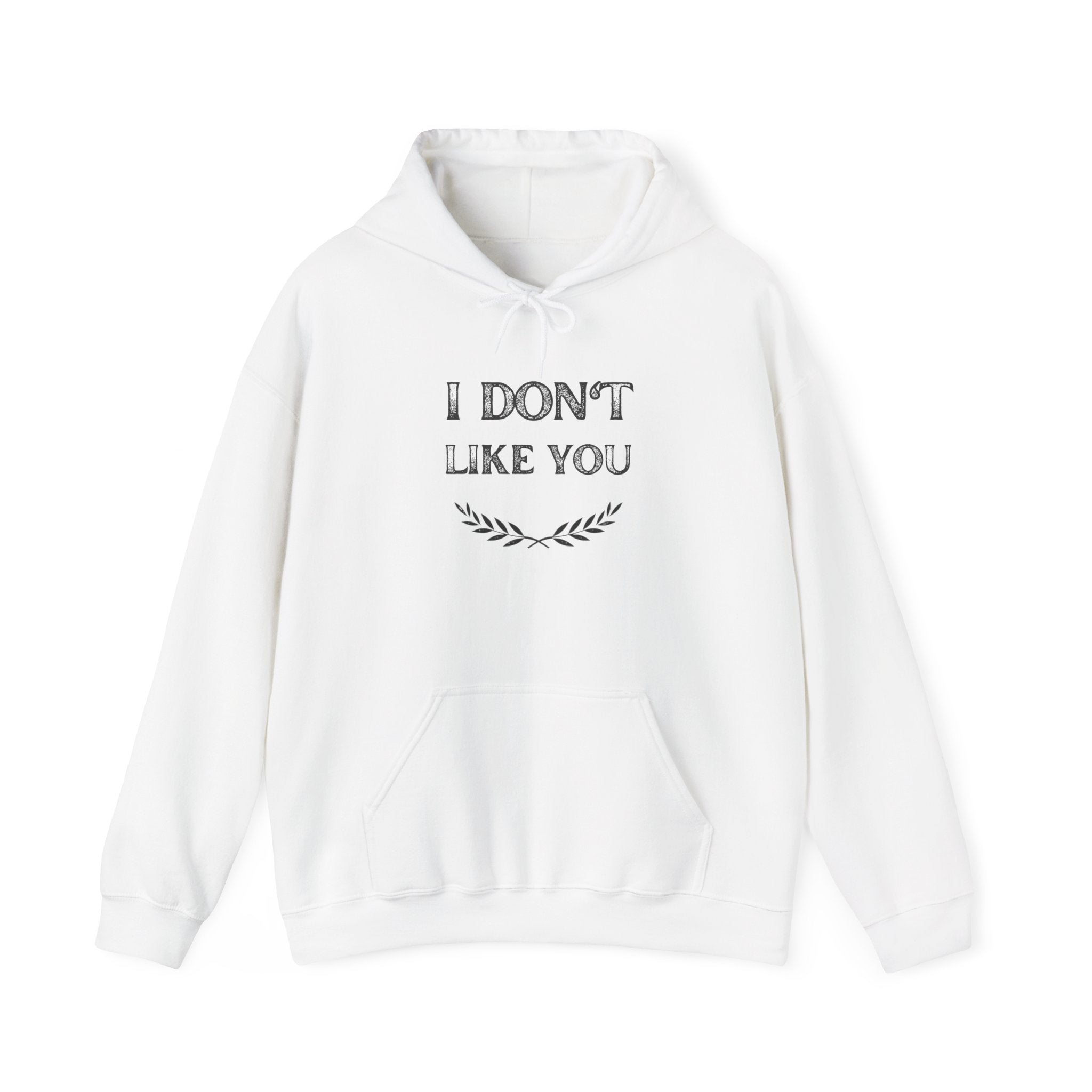 I Don't Like You Hoodie