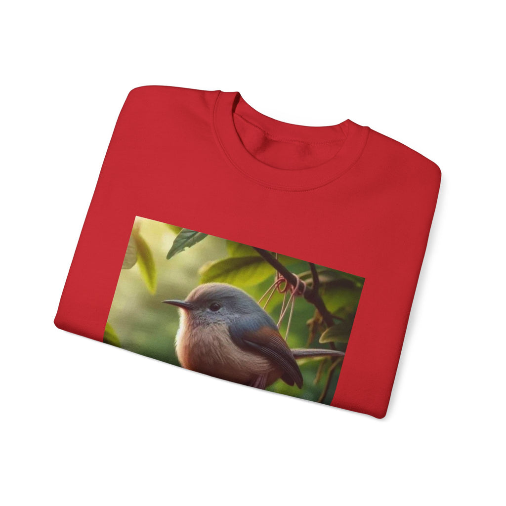 Balls Bird Sweatshirt – Funny Meme Sweatshirt