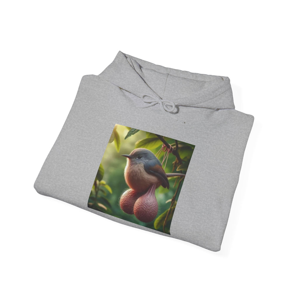 Balls Bird Hoodie – Funny Balls Bird Meme Hoodie