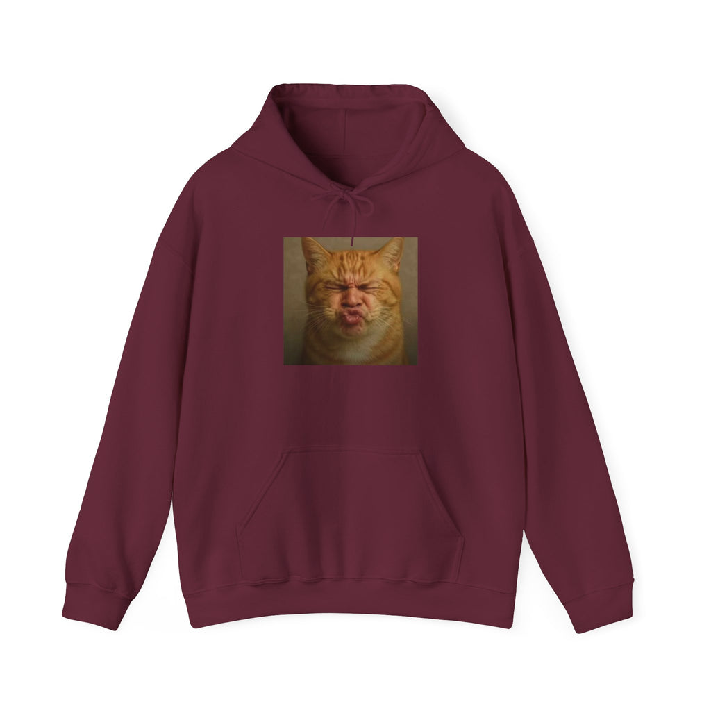 Pursed Lips Cat Hoodie – Funny Pursed Lips Cat Meme Hoodie