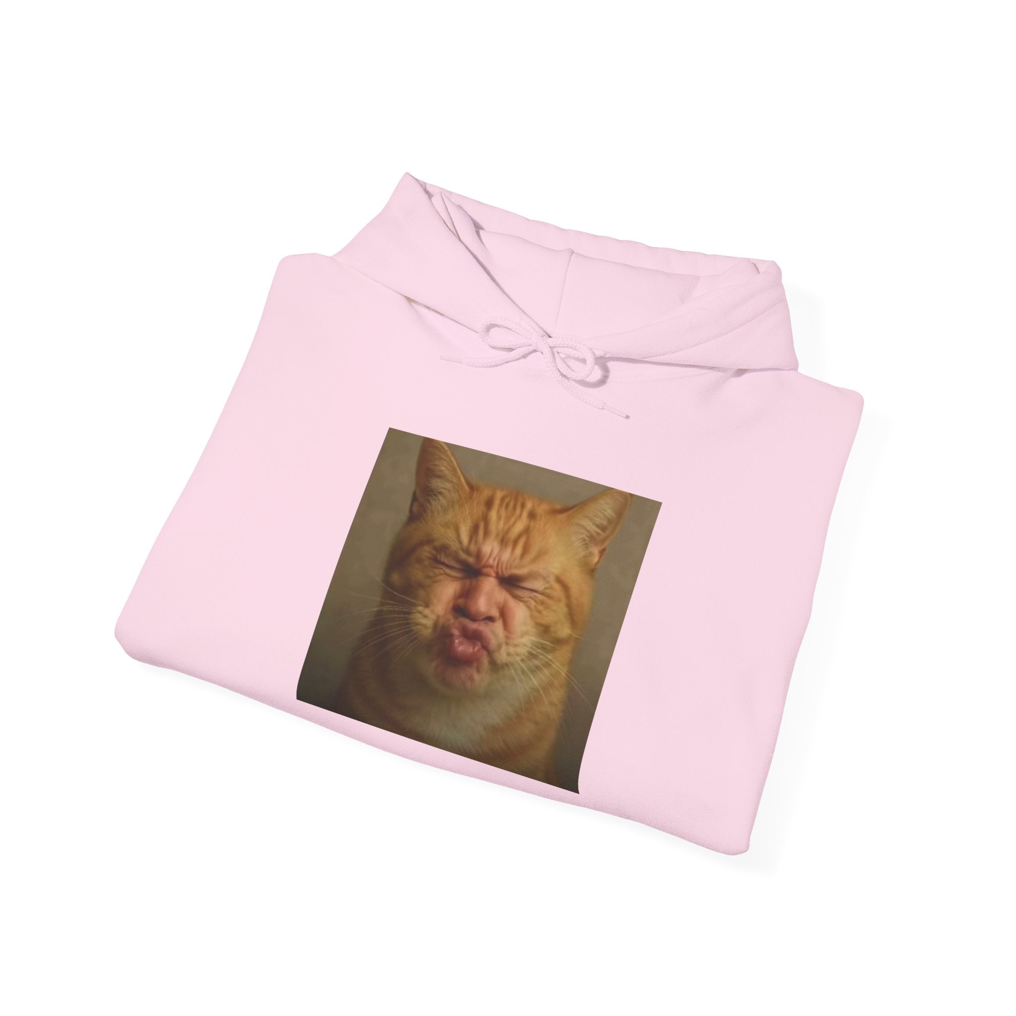 Pursed Lips Cat Hoodie – Funny Pursed Lips Cat Meme Hoodie